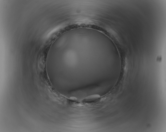 X0000110991063200906191422