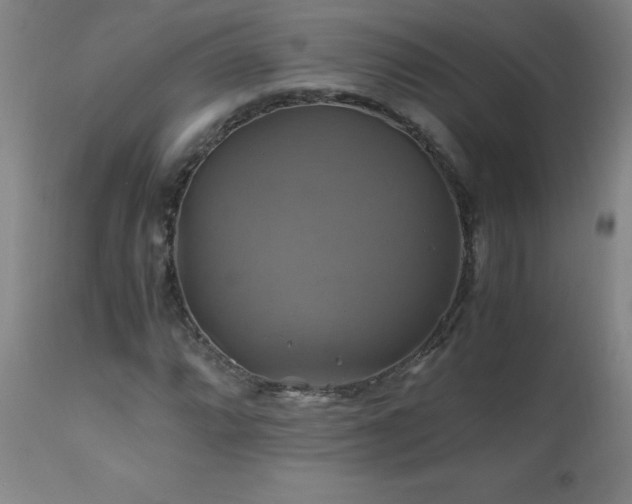 X0000110991064200906191422