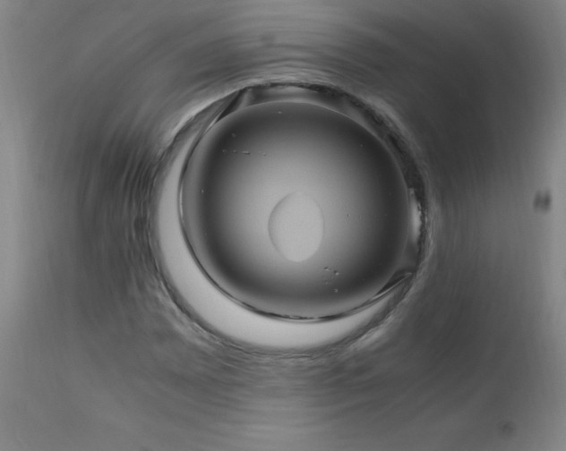X0000110991065200906191422