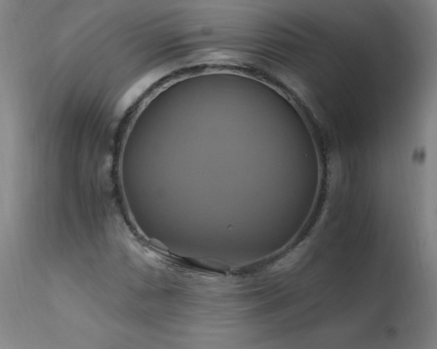 X0000110991066200906191422