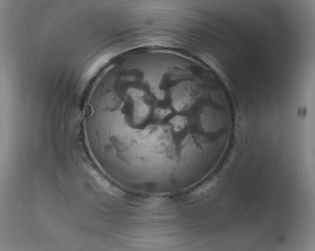 X0000110991067200906191422