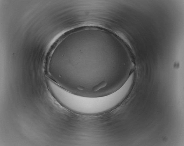 X0000110991068200906191422