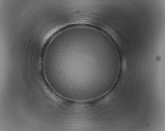 X0000110991069200906191422