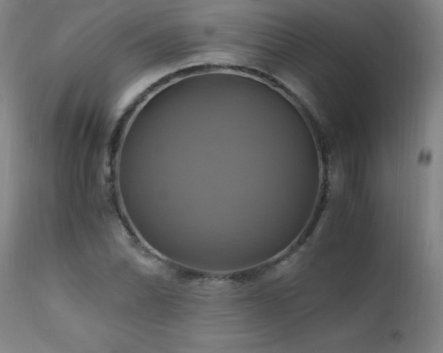 X0000110991070200906191422