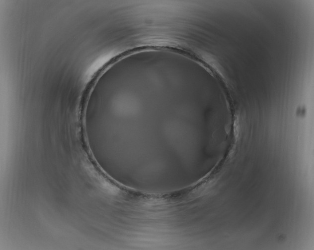 X0000110991071200906191422