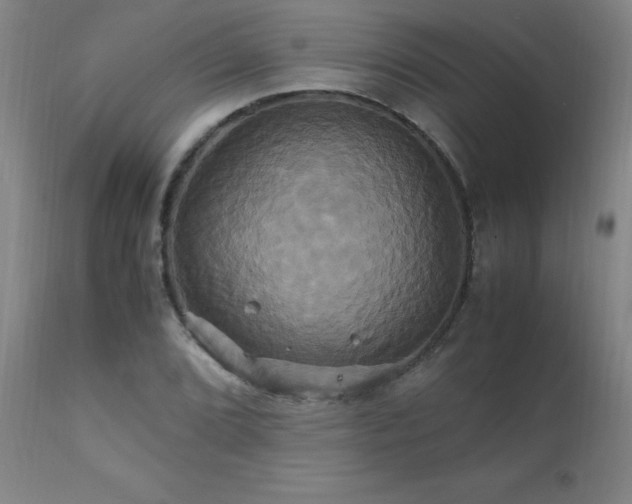 X0000110991072200906191422