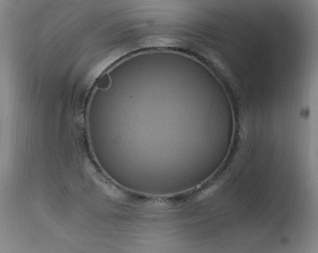 X0000110991073200906191422