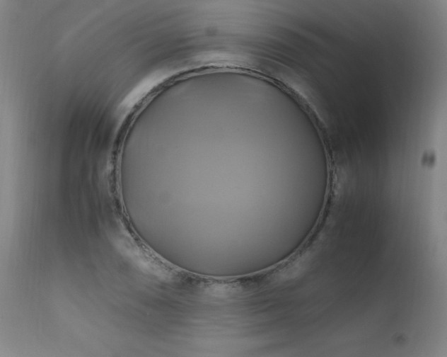 X0000110991074200906191422