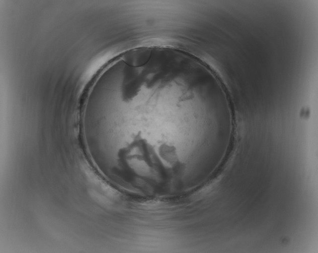 X0000110991075200906191422