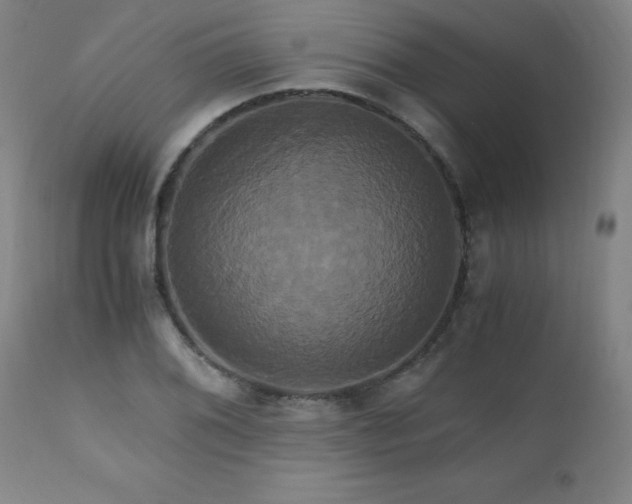 X0000110991076200906191422