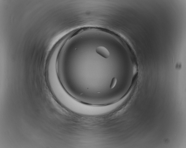 X0000110991077200906191422