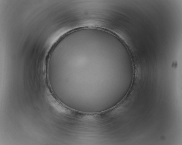 X0000110991078200906191422