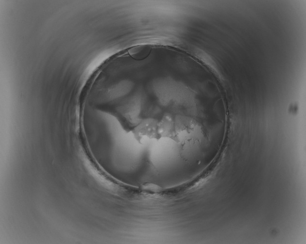 X0000110991079200906191422