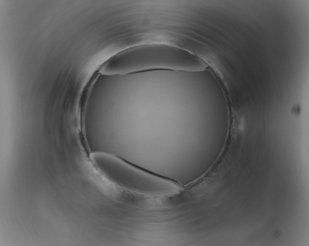 X0000110991080200906191422