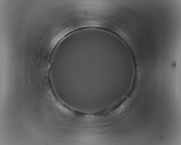 X0000110991081200906191422