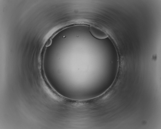 X0000110991082200906191422