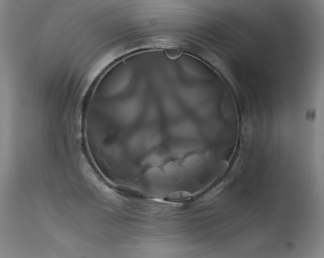 X0000110991083200906191421