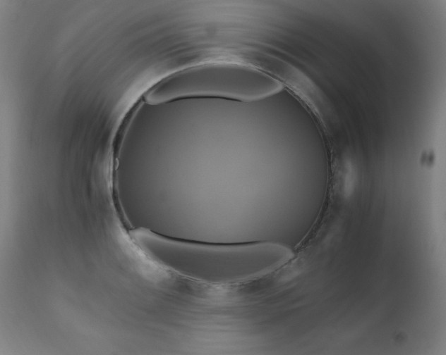 X0000110991084200906191421
