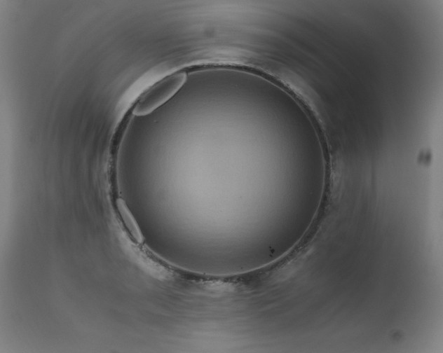 X0000110991085200906191421