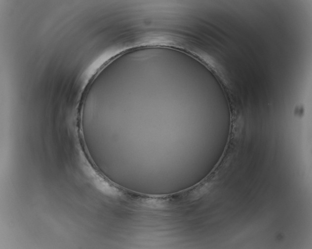 X0000110991086200906191421