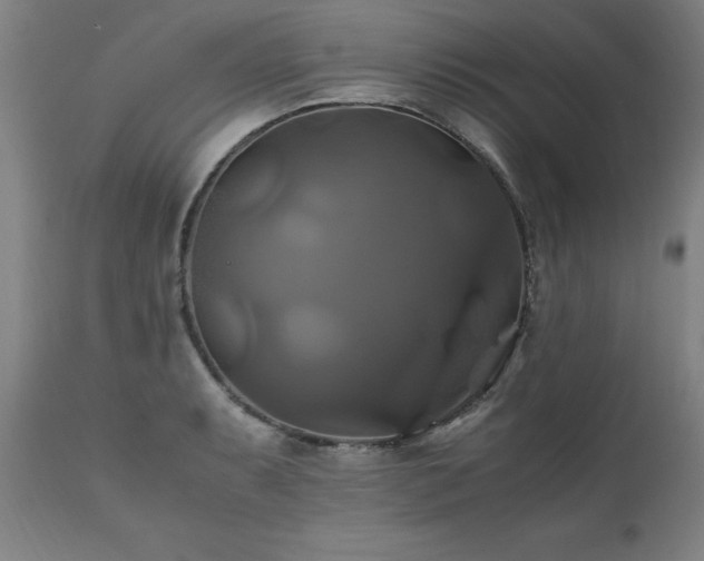 X0000110991087200906191421