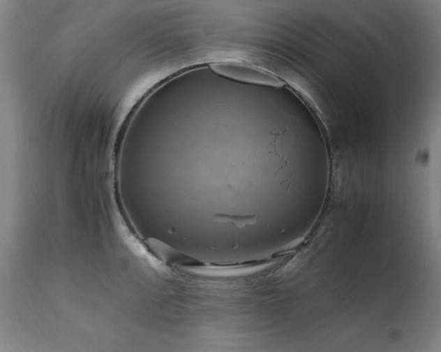 X0000110991088200906191421