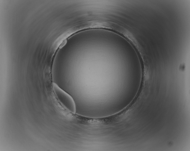 X0000110991089200906191421