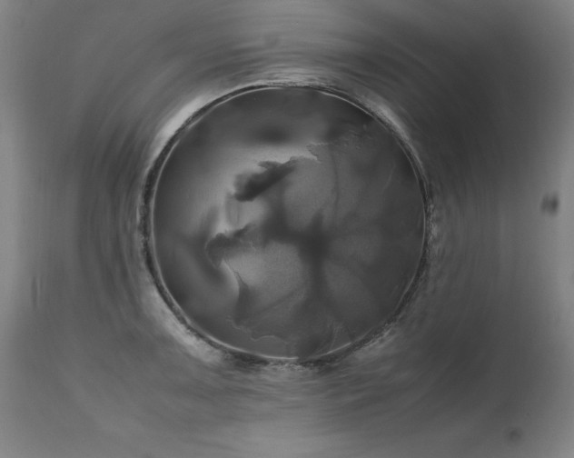 X0000110991091200906191421