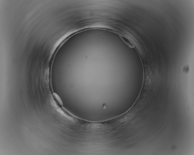 X0000110991092200906191421
