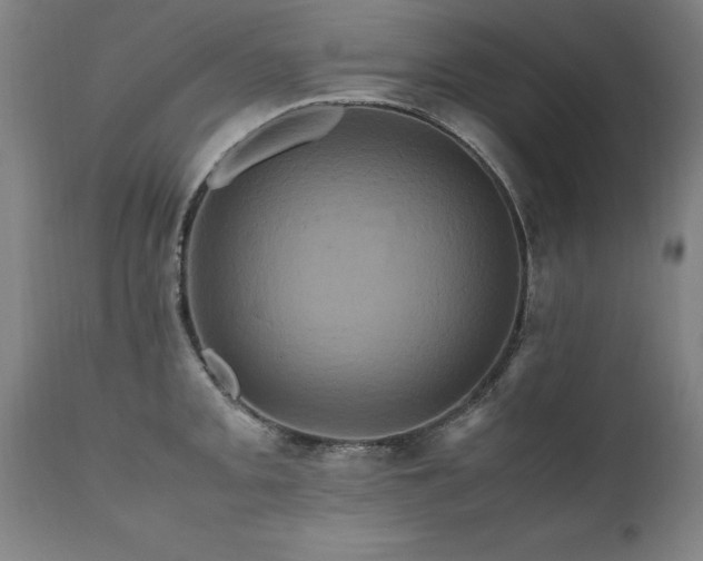 X0000110991093200906191421