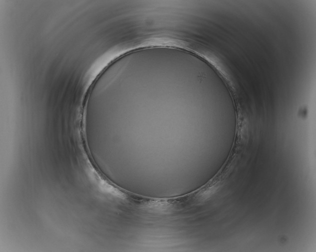 X0000110991094200906191421