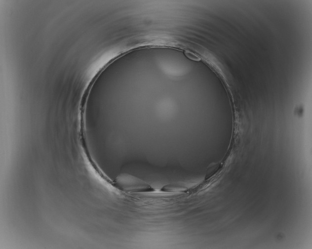 X0000110991095200906191421