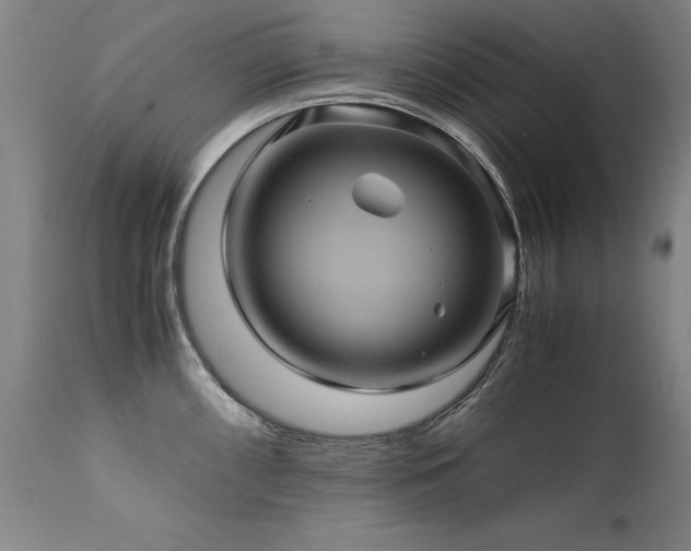 X0000110991098200906191421