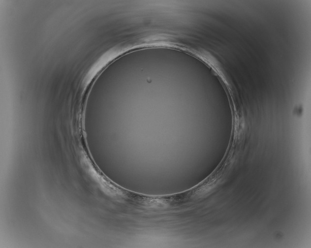 X0000110991101200906191421