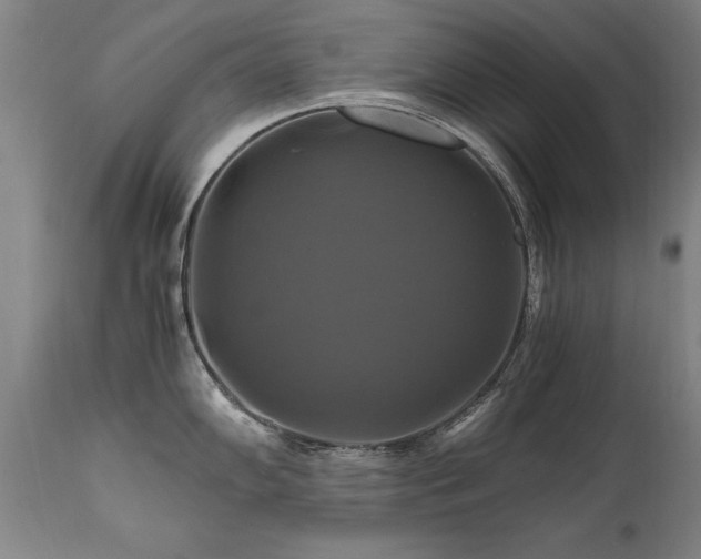 X0000110991102200906191421