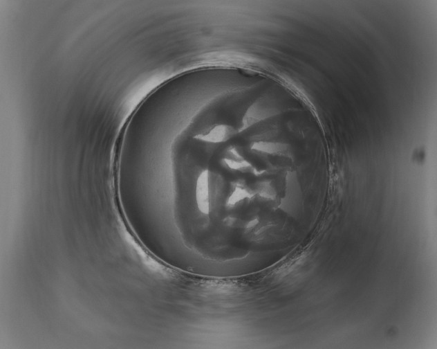 X0000110991103200906191421