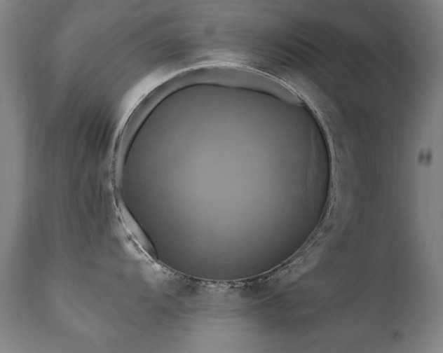 X0000110991104200906191421