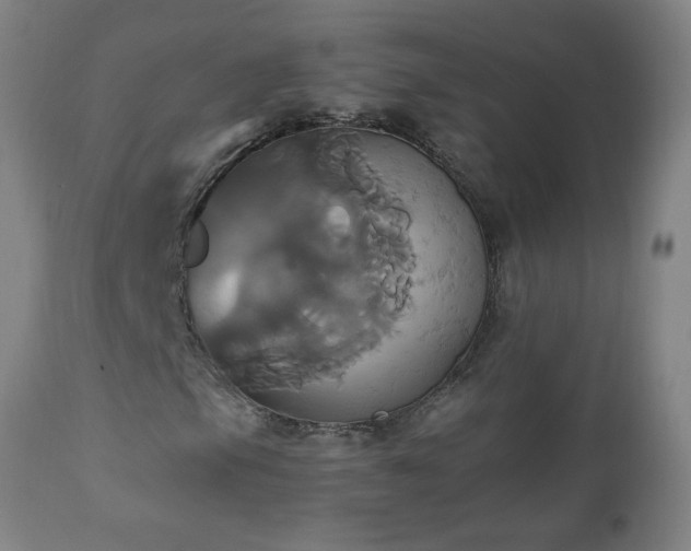 X0000110991105200906191421