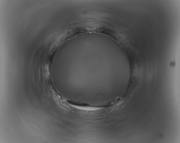 X0000110991106200906191421
