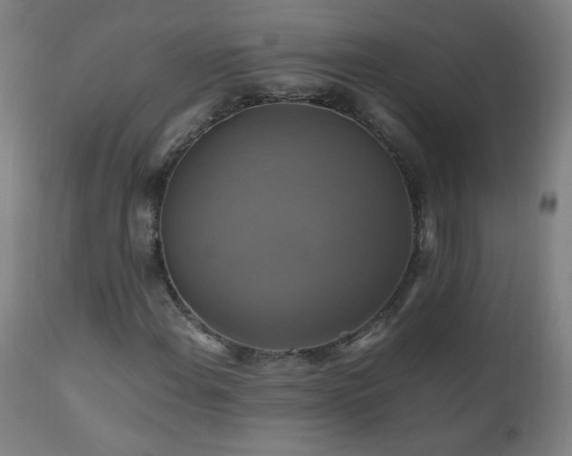 X0000110991108200906191421