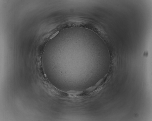 X0000110991109200906191421