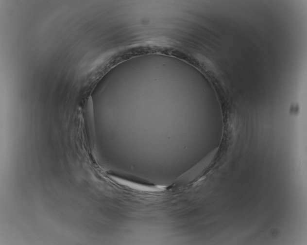 X0000110991110200906191421