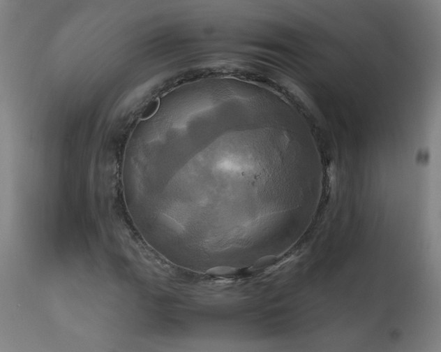 X0000110991111200906191421