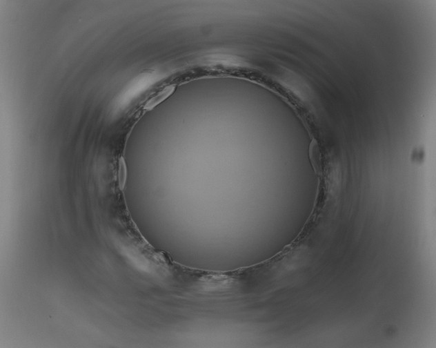 X0000110991112200906191421
