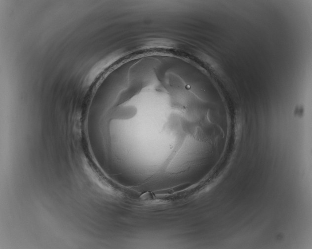 X0000110991113200906191421