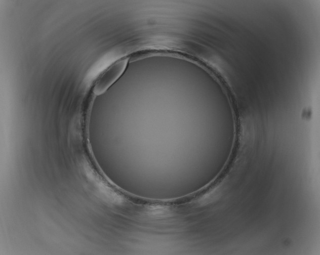 X0000110991114200906191421