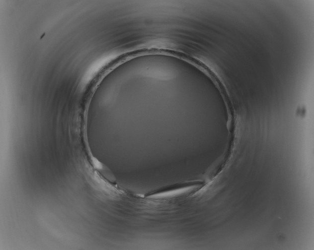 X0000110991115200906191421