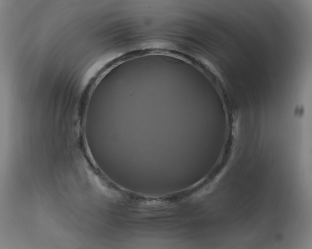 X0000110991117200906191421