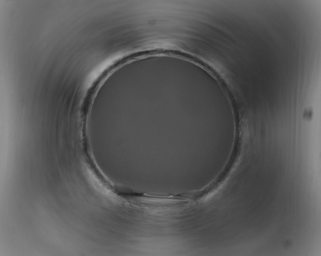 X0000110991118200906191421