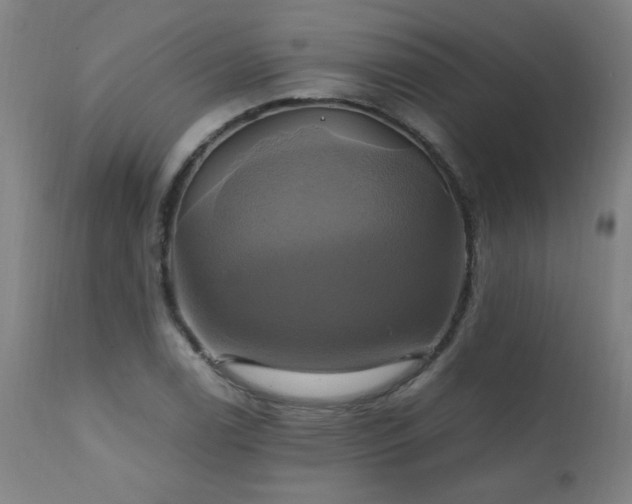 X0000110991122200906191421